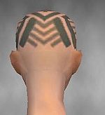 Monk Labyrinthine armor f gray back head.jpg