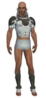 Paragon Elonian armor m gray front chest feet.png