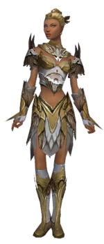 Paragon Norn armor f dyed front.png
