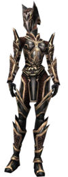 Warrior Elite Kurzick armor f.jpg