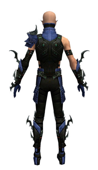 File:Assassin Elite Luxon armor m dyed back.jpg