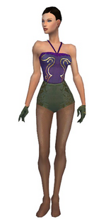 Mesmer Elite Canthan armor f gray front arms legs.png