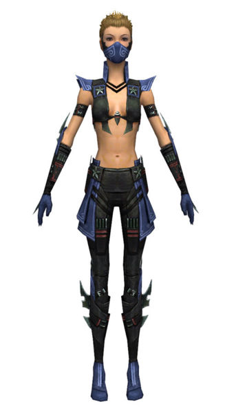 File:Assassin Luxon armor f dyed front.jpg