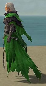 Vale Wraith costume m green left.jpg