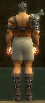 Warrior Elite Gladiator armor m gray back chest feet.jpg