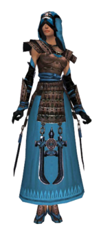 Dervish Monument armor f dyed front.png