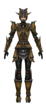 Warrior Wyvern armor f dyed back.jpg