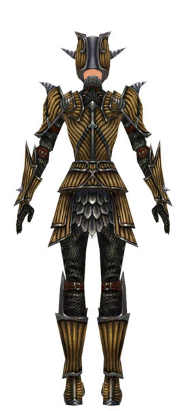 File:Warrior Wyvern armor f dyed back.jpg