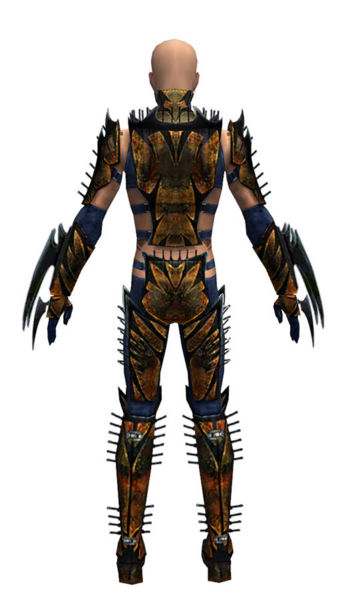 File:Assassin Elite Exotic armor m dyed back.jpg