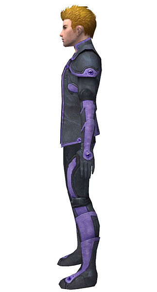 File:Elementalist Ascalon armor m dyed left.jpg