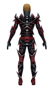 Necromancer Elite Profane armor m dyed back.jpg