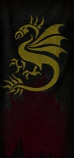 Guild Draco Mancers cape.jpg