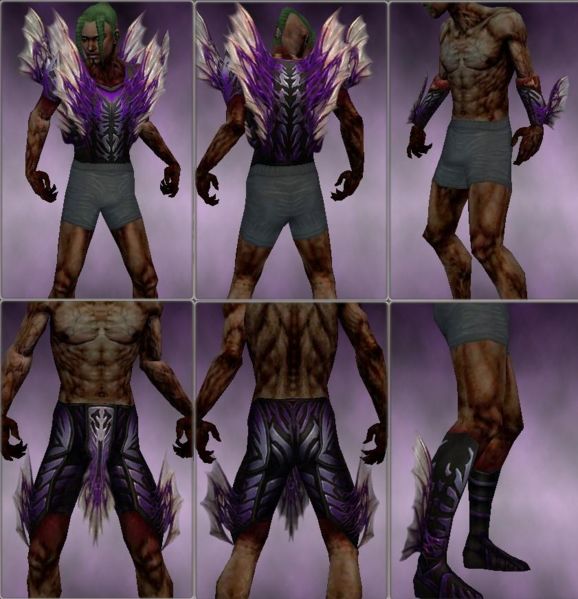 File:Necromancer Primeval armor m purple overview.jpg