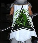 Guild The Pantheras Eye cape.jpg