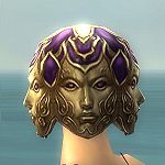 Vision of Lyssa costume f purple back head.jpg