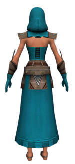 Dervish Istani armor f dyed back.png