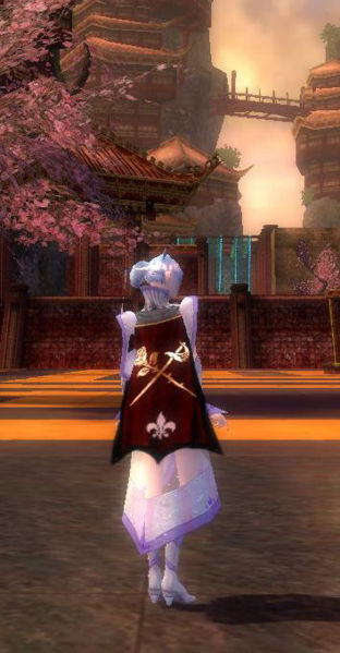 File:Guild Mythical Magical Masters cape.jpg