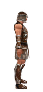 Warrior Istani armor m dyed right.jpg