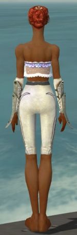 Elementalist Tyrian armor f gray back arms legs.jpg