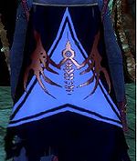 Guild The Shadow Disciples cape.jpg