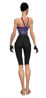 Mesmer Norn armor f gray back arms legs.png