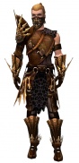 Ranger Elite Sunspear armor m.jpg