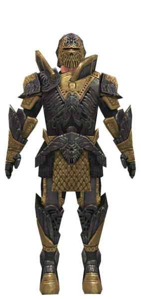 File:Warrior Elite Platemail armor m dyed front.jpg