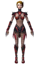 Necromancer Elite Cabal armor f dyed front.jpg