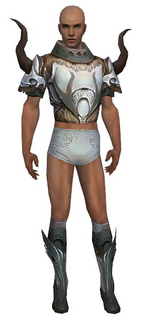 Paragon Norn armor m gray front chest feet.png