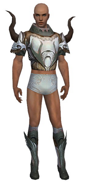 File:Paragon Norn armor m gray front chest feet.png