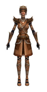 Ritualist Imperial armor f dyed front.jpg