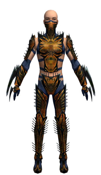 File:Assassin Elite Exotic armor m dyed front.jpg