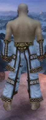 Monk Elite Kurzick armor m gray back arms legs.jpg