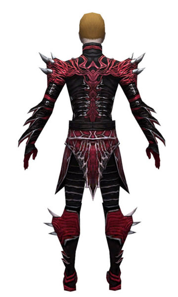 File:Necromancer Luxon armor m dyed back.jpg