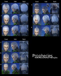 Prophecies Male Necromancer Hairstyles.JPG