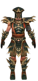 Warrior Luxon armor m dyed front.jpg