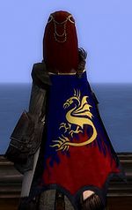 Guild A Lost Dragon cape.jpg