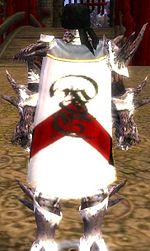 Guild Warrors Of Mithral Hall cape.jpg