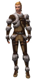 Ranger Elite Fur-Lined armor m.jpg