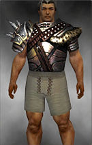 Warrior Heavy Breastplate armor m gray front.jpg