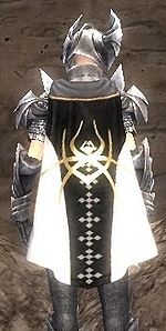 Guild Guardians Of The Lich Queen cape.jpg