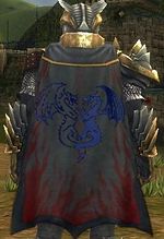 Guild X Dragonflames X cape.jpg