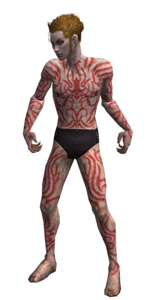 File:Necromancer Scar Pattern armor m.jpg
