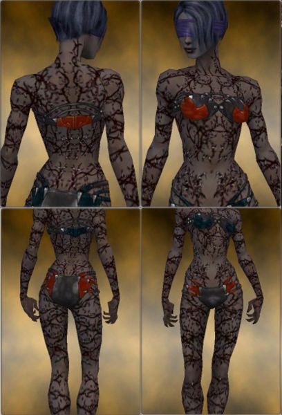 File:Screenshot Necromancer Elite Scar Pattern f dyed Orange.jpg