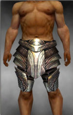 Warrior Stalwart Leggings armor m gray front.jpg