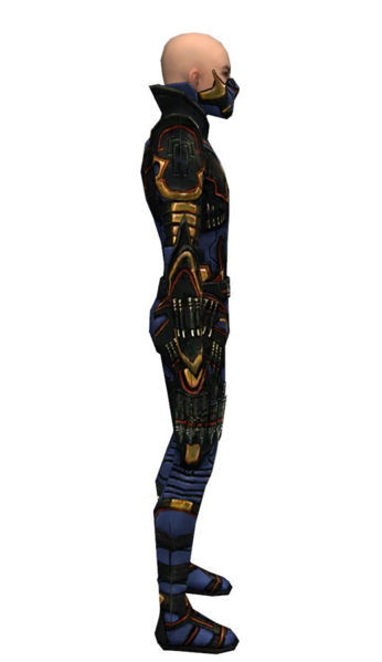 File:Assassin Elite Kurzick armor m dyed right.jpg