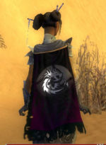 Guild Disciples Of Silence cape.jpg