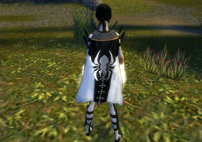 File:Guild You Noob And We cape.jpg