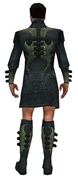 File:Mesmer Elite Kurzick armor m gray back chest feet.png