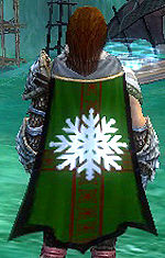 Guild Christmas Clan cape.jpg